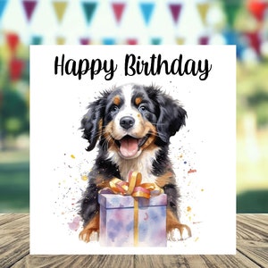 Biglietto di compleanno 6"x 6" per Bovaro del Bernese - Regali e design Starprint. Spazio per il tuo messaggio all'interno. Può essere personalizzato.