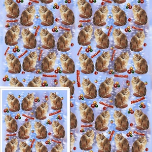 Carta da regalo natalizia con gatto rosso zenzero britannico e 1 etichetta regalo con immagine di un quarto di Starprint Gifts and Designs.