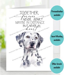 Dalmatiner Hund A6 (4 "x 6") Beileid Karte (innen leer) von Starprint Geschenke und Designs . Blank, um Ihre eigene Nachricht hineinzuschreiben