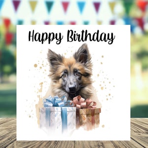 Carte d'anniversaire chien de Tervuren belge 6 x 6 po. - Cadeaux et designs avec empreintes d'étoiles. De la place pour votre propre message à l'intérieur. Peut être personnalisé.