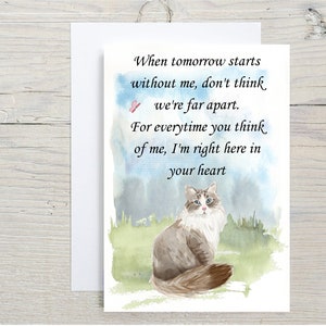 Schöne Sibirische Katze A6 (10 x 15") Sympathiekarte (Blanko Innen) von Starprint Geschenke und Designs. Leer, um Ihre eigene Nachricht hinein zu schreiben.