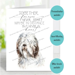 Bearded Collie Hund A6 (4 "x 6 ") Beileid Karte (innen leer) von Starprint Geschenke und Designs . Blank, um Ihre eigene Nachricht hineinzuschreiben