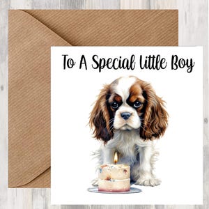 Carte d'anniversaire Cavalier King Charles Spaniel Dog 6 x 6 po - Cadeaux et designs empreinte d'étoiles. De la place pour votre propre message à l'intérieur. Peut être personnalisé.