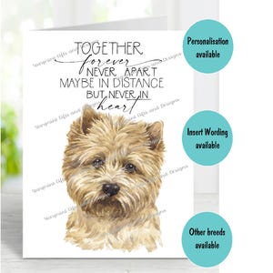 Cairn Terrier Hund A6 (4 "x 6 ") Beileid Karte (innen leer) von Starprint Geschenke und Designs. Blank, um Ihre eigene Nachricht hineinzuschreiben