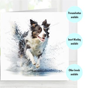 Carte pour la fête des pères chien border collie 6 x 6 po, cadeaux et designs sérigraphiés. De la place pour votre propre message à l'intérieur. Peut être personnalisé.