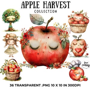 Clipart de maçã, clipart de maçã em aquarela, clipart de colheita de maçã, clipart de outono, clipart de outono, clipart de frutas, maçãs fofas, uso comercial