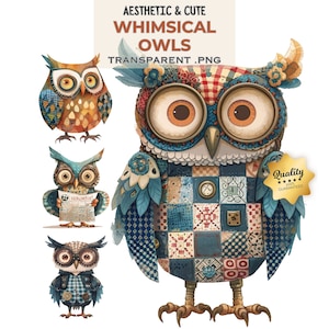20 skurrile und wunderliche Eulen Clipart Bundle, schrullige Eulen, digitaler Download, kommerzielle Nutzung, Junk Journal, Papier Handwerk, Pinnwand, PNG