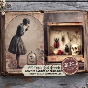 girl searching in a cabinet, Oddities Junk Journal Kit, Printable Ephemera, Vintage Gothic Scrapbook Supplies, Dark Academia Collage Art, Cabinet of Curiosities Pages
