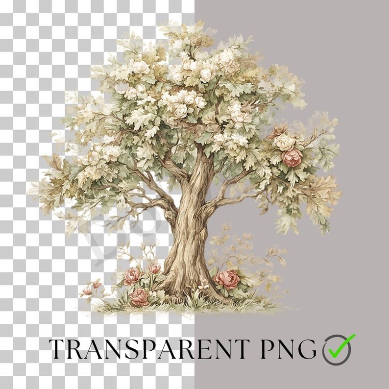 May include: Watercolor illustration of a tree with a thick, textured trunk and lush foliage. The leaves are a mix of green and cream, with clusters of white and pink flowers. The words "TRANSPARENT PNG" are at the bottom.