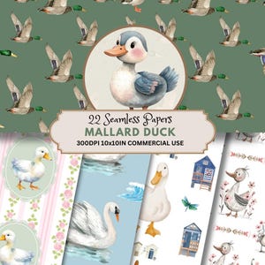 Padrão de Pato-real Sem Costura | Papel de Parede Digital Repetitivo para Sublimação | Tecido e Papel para Scrapbooking | Cartões de Diário | Lagoa Sem Costura