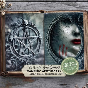 Pagine di diario di stregoneria: effimeri romanzi gotici, stile Dark Academia (download digitale)
