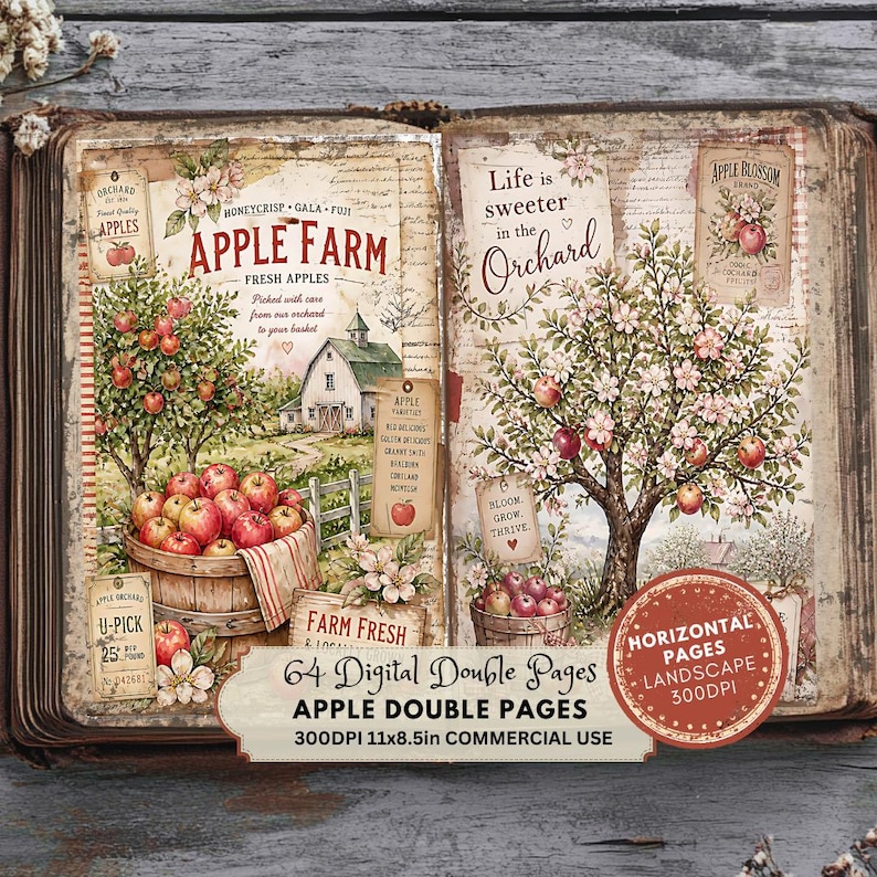 May include: A digital scrapbook featuring two open pages with apple orchard illustrations, including a barn, apple trees, baskets of red apples, and text reading Apple Farm, Life is sweeter in the Orchard, and 64 Digital Double Pages 300DPI 11x8.5in.