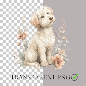 May include: Watercolor illustration of a fluffy, cream-colored puppy sitting among soft pink flowers and foliage. The puppy has a sweet expression, with a slightly tilted head. The words "TRANSPARENT PNG" are at the bottom.