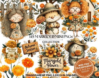 Marigold Clipart, Watercolor Flower PNG, Digital Download for Scrapbooking, Commercial Use, Floral Art