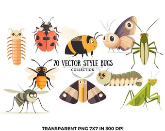 Watercolor Bug Clipart Set: Vector Insect Illustrations (PNG)