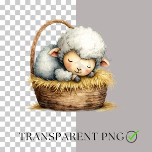 May include: Watercolor illustration of a sleeping sheep in a woven basket filled with hay. The sheep has fluffy white wool and is resting its head. The basket has a brown handle and is set against a transparent background.