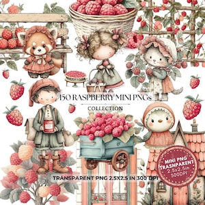 Imágenes prediseñadas de frambuesa: Ilustración de fruta en formato PNG (descarga digital, 2,5 x 2,5 pulgadas)