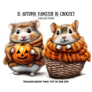 15 cliparts de hamsters d'automne PNG | Illustrations confortables de hamster sur le thème de l'automne pour la sublimation, clipart de Thanksgiving, souris, souris, amateurs de hamster
