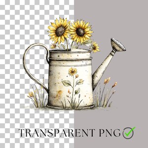 May include: Watercolor illustration of a vintage white watering can filled with sunflowers. The watering can has a curved handle and a spout. The image includes the text "TRANSPARENT PNG".
