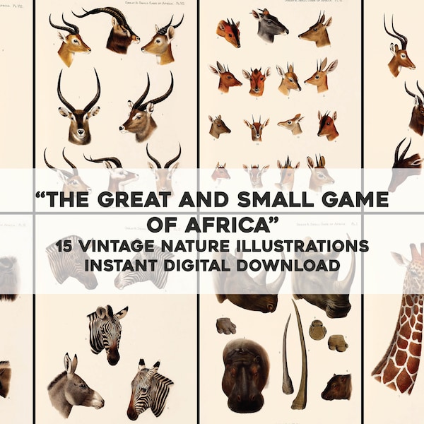 15 Restored Images of Small and Large African Game Animals | Image Bundle Printable Wall Art | Instant Download Commercial Use