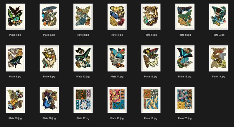 May include: A collection of 20 plates featuring detailed illustrations of butterflies in various colors and patterns. Each plate is labeled with a number from 1 to 20.