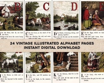 ABCs Children's Colored Alphabet Picture Book Illustrations | Instant Digital Instant Download | Old Educational Book Commercial Use