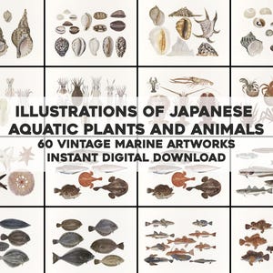 Op de afbeelding: Een verzameling vintage illustraties van Japanse waterplanten en -dieren. De kunstwerken tonen verschillende schelpen, vissen en zeedieren. De tekst luidt: "ILLUSTRATIONS OF JAPANESE AQUATIC PLANTS AND ANIMALS, 60 VINTAGE MARINE ARTWORKS, INSTANT DIGITAL DOWNLOAD."