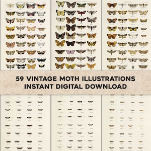 59 coole Seiten von Schmetterlingen Vintage Illustrationen | Bild Bundle Druckbare Wandkunst | Sofortiger digitaler Download Kommerzielle Nutzung