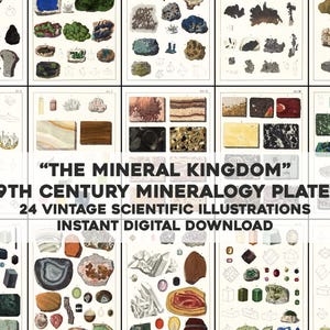 May include: A collection of vintage mineralogy plates featuring scientific illustrations of various minerals. The image includes the text "THE MINERAL KINGDOM", "19TH CENTURY MINERALOGY PLATES", "24 VINTAGE SCIENTIFIC ILLUSTRATIONS", and "INSTANT DIGITAL DOWNLOAD". The illustrations showcase a variety of colorful rocks and minerals.