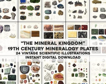24 Odrestaurowane Królestwo Mineralne Geologia | Pakiet obrazów do druku na ścianie | Natychmiastowe pobranie cyfrowe do użytku komercyjnego