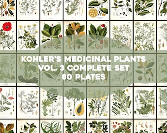 Kohler&#39;s Medicinal Plants Volume 3 Complete Set 80 Plates Printable Wall Art Bundle Vintage Flowers Botanical Illustrations Digital Download