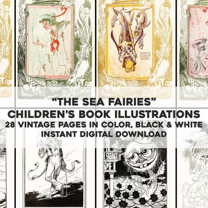 28 Sea Fairies Mermaid Illustrations in Color & Black and White | Image Bundle Printable Wall Art | Instant Digital Download Commercial Use