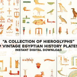 May include: Nine vintage plates featuring illustrations of Egyptian hieroglyphs. The plates are printed on white paper with a cream-colored background. The illustrations are in various colors, including red, yellow, blue, green, and black.