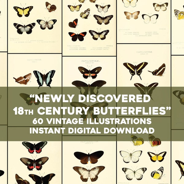 60 Pretty Butterfly Illustrations Plates from the 18th Century | Image Bundle Printable Wall Art | Instant Digital Download Commercial Use