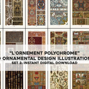 May include: A collection of 50 vintage ornamental design illustrations in a variety of colours and patterns. The illustrations are from the book "L'Ornement Polychrome" and are perfect for use in design projects.