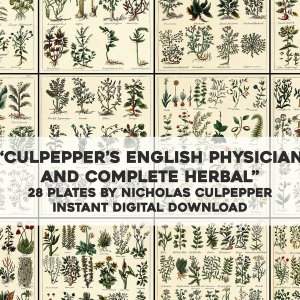 Culpeppers Complete Herbal Restored Medicinal Botanical Illustrations | HQ Image Bundle | Instant Digital Download | Physical Commercial Use