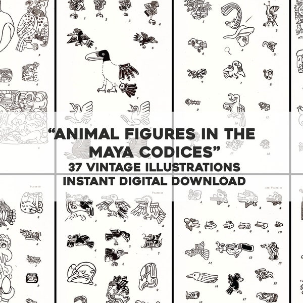 37 Images de symboles d’animaux et de figures du Codex maya restaurées | Ensemble d’images HQ/Art mural imprimable | Utilisation commerciale de téléchargement numérique instantané