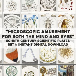 May include: A collection of 50 vintage scientific illustrations from the 18th century, arranged in a grid. The images depict various microscopic subjects, with text reading "Microscopic Amusement for Both the Mind and Eyes." The set is available as an instant digital download.