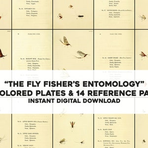 Fly Fisher&#39;s Entomology Vintage Trout Insect Illustrations / Image Bundle Arte de pared imprimible / Descarga instantánea Uso comercial físico