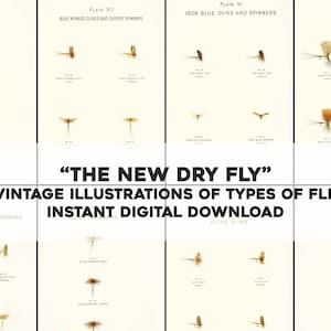 The New Dry Fly 9 Fly Fishing Flies Illustrations | Image Bundle/Printable Wall Art | Instant Digital Download | Commercial Use
