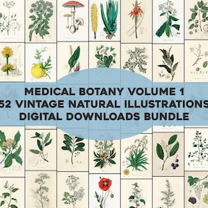 Set 1 Medical Botany 52 Plates High Resolution Image Bundle | Printable Wall Art Bundle | Vintage Flowers Botanical Instant Download