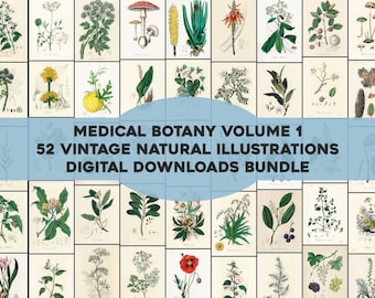 Set 1 Medical Botany 52 Plates High Resolution Image Bundle | Printable Wall Art Bundle | Vintage Flowers Botanical Instant Download