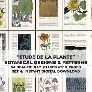 May include: A collection of 54 botanical illustrations and patterns, featuring detailed drawings of plants and flowers. The title "ETUDE DE LA PLANTE" is displayed in a decorative font. The illustrations are in a vintage style and would be perfect for crafting, scrapbooking, or home decor.