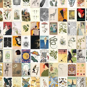 Op de afbeelding: Een collage van vintage illustraties en afbeeldingen met verschillende onderwerpen, waaronder natuur, dieren, mensen en abstracte ontwerpen. De afbeeldingen zijn in een rasterpatroon gerangschikt en zijn gedrukt in verschillende kleuren, waaronder zwart, wit, rood, groen en blauw.