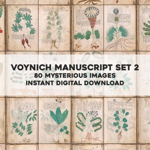 May include: A collection of aged manuscript pages featuring botanical illustrations and handwritten text. The image includes the text "Voynich Manuscript Set 2" and "80 Mysterious Images Instant Digital Download". The illustrations depict various plants and root systems.