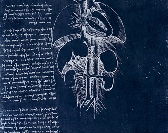 93 レオナルド ダ ヴィンチ スケッチ ノート 図表 ネガ セット 2