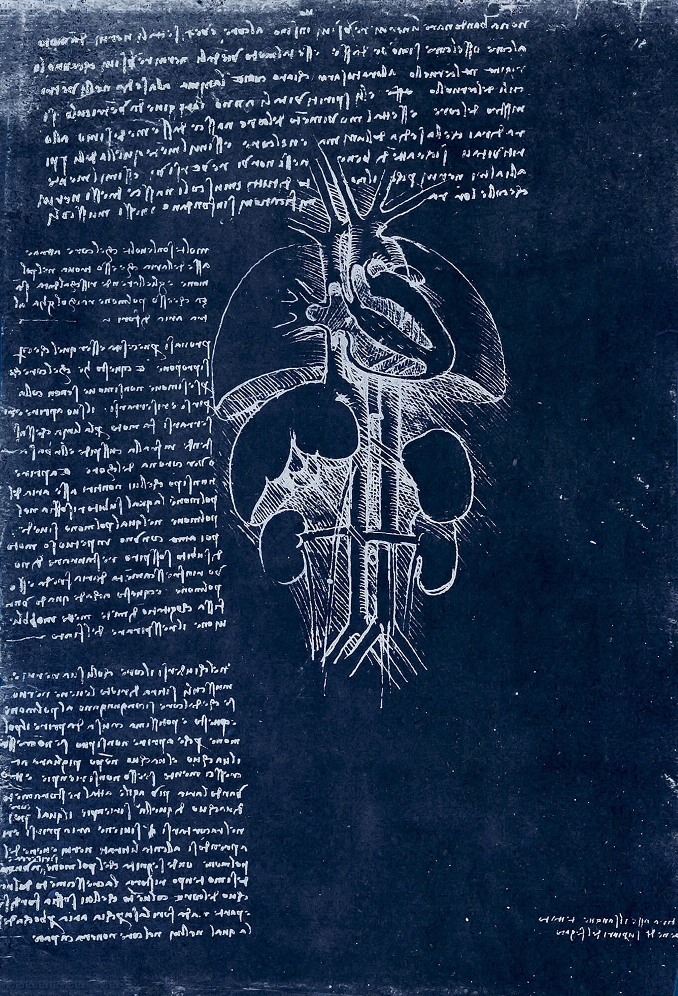 93 レオナルド ダ ヴィンチ スケッチ ノート 図表 ネガ セット 2