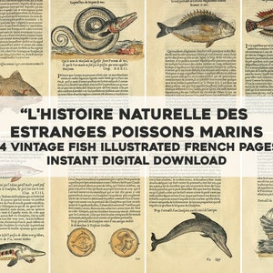 Historia natural de peces extraños / Paquete de 14 imágenes vintage / Suministros de artesanía Arte de pared imprimible / Descarga digital instantánea Uso comercial
