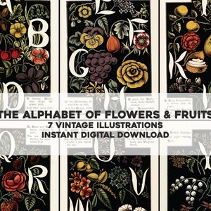 Alfabet van Fruit en Bloemen Illustraties Afbeelding Alfabet | Direct digitaal direct downloaden | Oud educatief boek commercieel gebruik