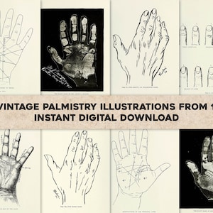 52 imágenes del lenguaje de la mano Quiromancia Lectura de palma / Paquete de imágenes HQ Arte de pared imprimible / Descarga digital instantánea / Uso comercial